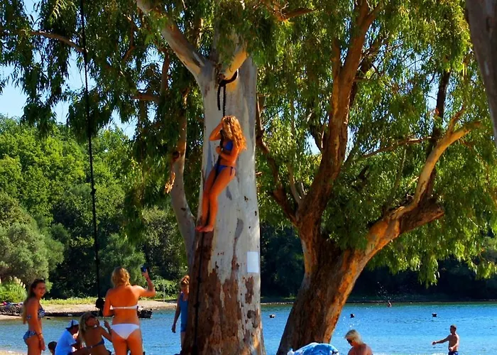 Spiti Prokopis - Marilena House Dassia (Corfu)